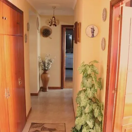 Acojedor Entero En Bueu